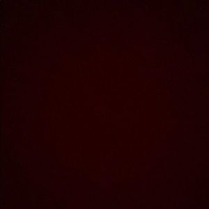 Meet your Posher, Brayden